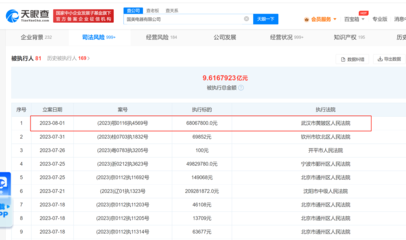 國美電器遭強制執(zhí)行6806萬元，日用品批發(fā)業(yè)務(wù)成謎