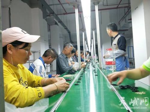 長安家園喜迎電子廠入駐，產(chǎn)業(yè)興農(nóng)助力鄉(xiāng)村振興，點(diǎn)亮日用家電零售新篇章